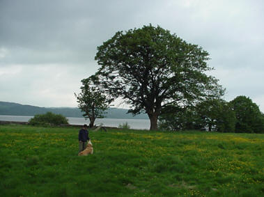 Keil School Palying Fields